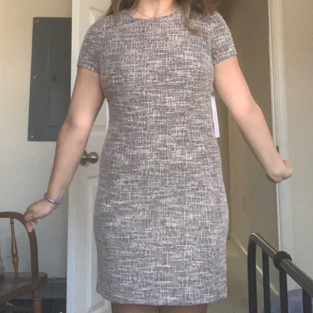 Calvin Klein Fitted Dress